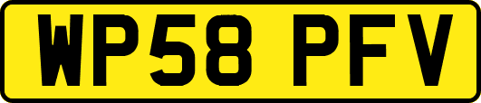 WP58PFV