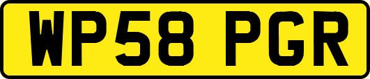 WP58PGR