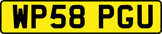 WP58PGU