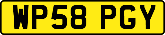 WP58PGY