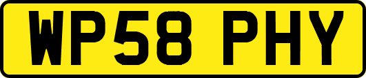 WP58PHY