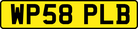 WP58PLB