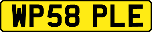 WP58PLE