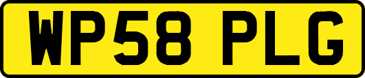 WP58PLG