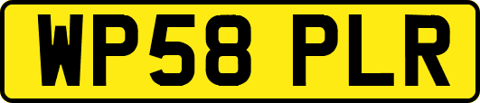 WP58PLR
