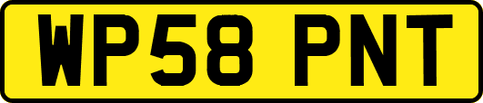 WP58PNT