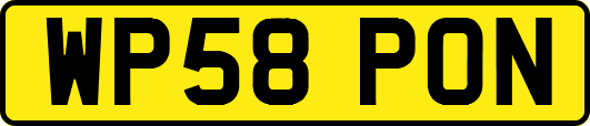 WP58PON