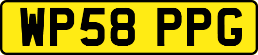 WP58PPG