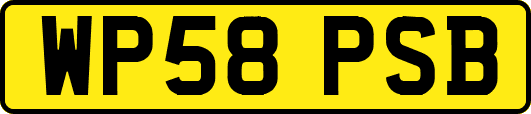 WP58PSB