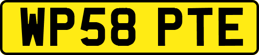 WP58PTE