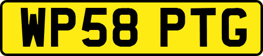 WP58PTG