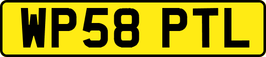 WP58PTL
