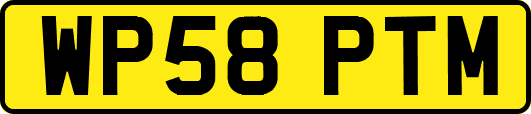 WP58PTM