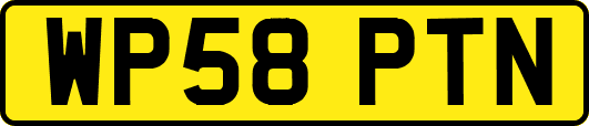 WP58PTN