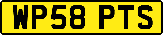 WP58PTS