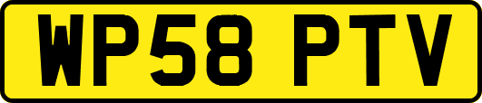 WP58PTV