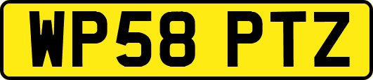 WP58PTZ