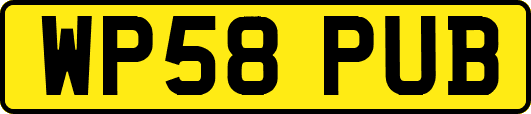 WP58PUB