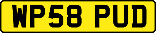 WP58PUD