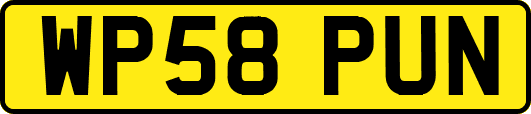 WP58PUN