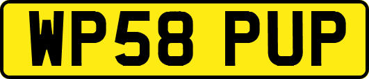 WP58PUP