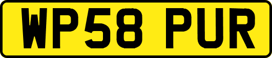 WP58PUR