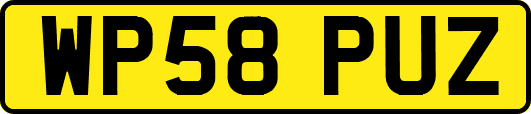 WP58PUZ