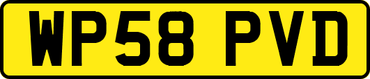 WP58PVD