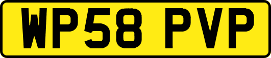 WP58PVP