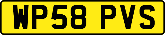 WP58PVS