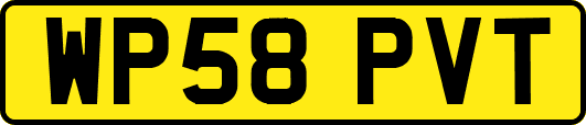 WP58PVT