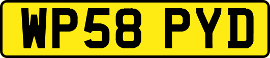 WP58PYD