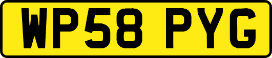 WP58PYG