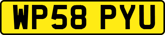 WP58PYU