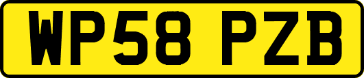 WP58PZB