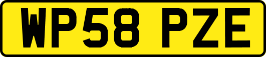 WP58PZE