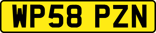 WP58PZN