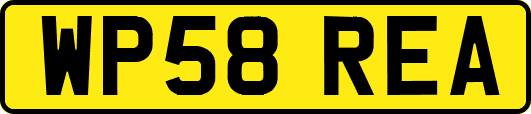 WP58REA