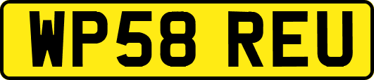 WP58REU