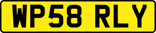 WP58RLY