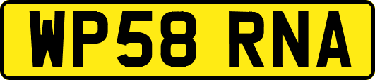 WP58RNA