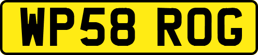 WP58ROG