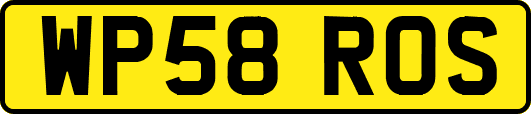 WP58ROS