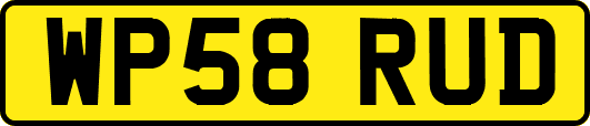 WP58RUD