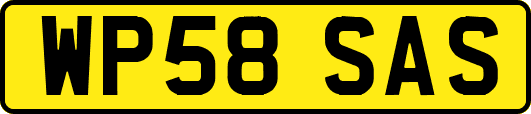 WP58SAS