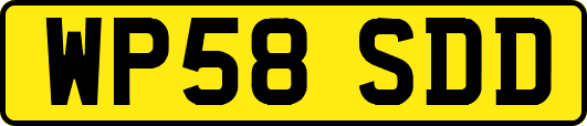 WP58SDD