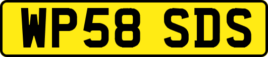 WP58SDS