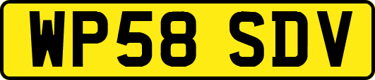 WP58SDV
