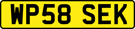 WP58SEK