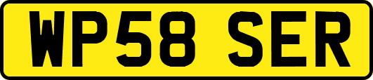 WP58SER